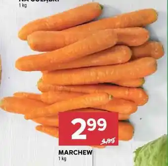 Stokrotka Market Marchew oferta