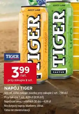 Stokrotka Market Napój TIGER oferta