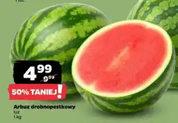 Netto Arbuz drobnopestkowy oferta