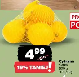 Netto Cytryna oferta