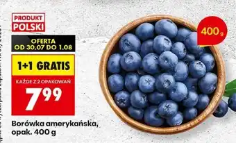 Biedronka Borówka amerykańska, opak. 400 g oferta