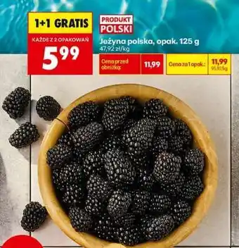 Biedronka Jeżyna polska, opak. 125 g oferta