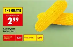 Biedronka Kukurydza kolba 1 szt oferta