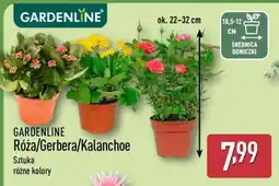 ALDI GARDENLINE oferta