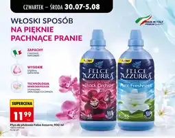 Biedronka Plyn do phukania felce azzurra oferta