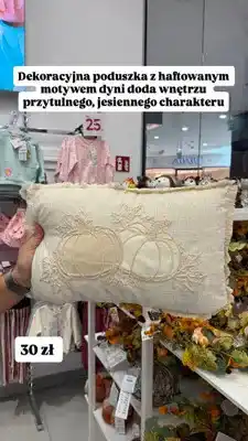 Pepco Poduszka dekoracyjna z haftowanym motywem dyni oferta