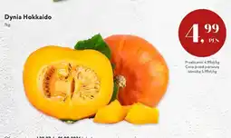 Market Point Dynia Hokkaido oferta