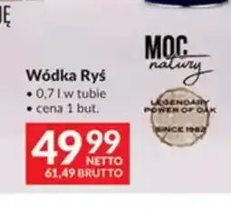 Makro Wódka Ryś oferta