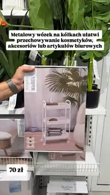 Pepco Metalowy wózek na kółkach Pepco Home oferta
