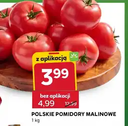 Stokrotka Express Pomidory oferta