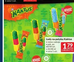 Makro Lody na patyku Kaktus oferta