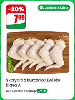 Dino Skrzydło z kurczaka świeże klasa A oferta