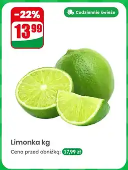 Dino Limonka oferta