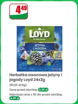 Dino Herbatka owocowa jeżyny i jagody Loyd oferta