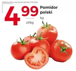 Frac Pomidor polski oferta
