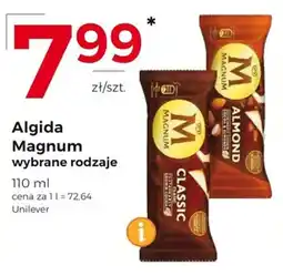 Frac Algida Magnum wybrane rodzaje oferta