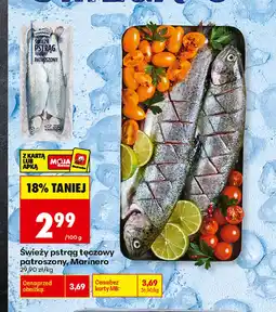Biedronka Pstrąg tęczowy Marinero oferta