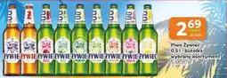 Gama Piwo Żywiec oferta