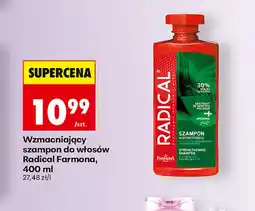 Biedronka Szampon Radical oferta