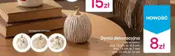 Pepco Dynia dekoracyjna oferta
