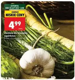 Biedronka Zestaw do kiszenia ogórków: koper, chrzan, czosnek oferta