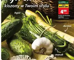 Biedronka Zestaw do kiszenia ogórków oferta