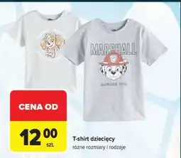 Carrefour T-shirt dziecięcy oferta