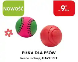 AquaelZOO Piłka dla psów, Have Pet oferta