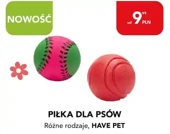 Piłka dla psów, Have Pet