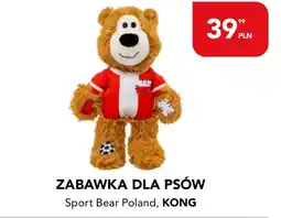 AquaelZOO ZABAWKA DLA PSÓW Sport Bear Poland, KONG oferta