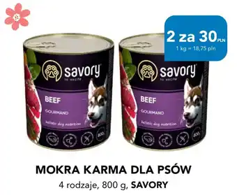 Mokra karma dla psów Savory