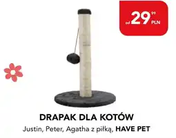 AquaelZOO Drapak dla kotów Justin, Peter, Agatha z piłką HAVE PET oferta