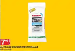 Merkury Market AUTOLAND CHUSTECZKI CZYSZCZĄCE oferta