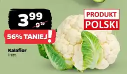 Netto Kalafior oferta
