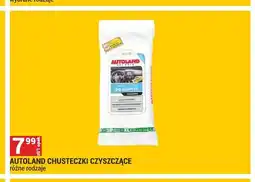 Merkury Market Chusteczki czyszczące Autoland oferta