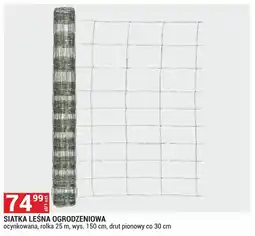 Merkury Market Siatka leśna oferta