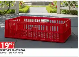 Merkury Market Skrzynka oferta