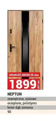 Merkury Market Drzwi zewnętrzne stalowe Neptun oferta