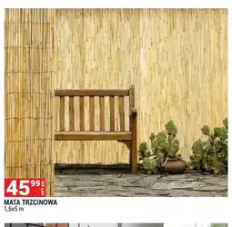 Merkury Market Mata trzcinowa oferta