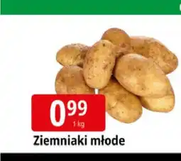 E.Leclerc Ziemniaki młode oferta