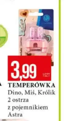 E.Leclerc Temperówka Dino Miś Królik Keyroad z pojemnikiem oferta