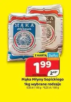 Delfin Mąka chlebowa Młyny Sopickiego oferta