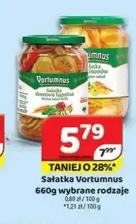 Delfin Sałatka Vortumnus oferta