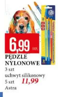 E.Leclerc Pędzle nylonowe Astra 3 szt uchwyt silikonowy oferta