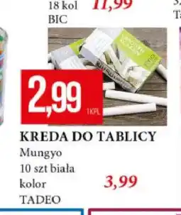 E.Leclerc Kreda do tablicy kolorowa Mungyo oferta