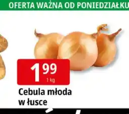 E.Leclerc Cebula młoda w łusce oferta