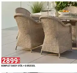Merkury Market Komplet mebli ogrodowych Daisy stół + 6 krzeseł oferta