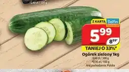 Delfin Ogórek zielony oferta