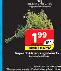 Delfin Koper do kiszenia ogórków oferta