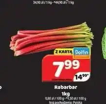 Delfin Rabarbar oferta